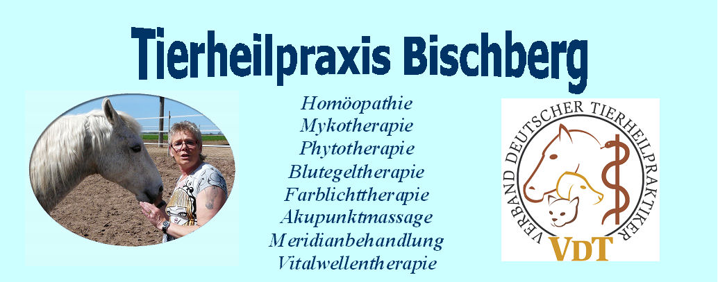 Tierheilpraxis Bischberg